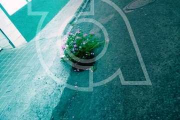 Vecinos de Clavellinas y Lomo Bristol 'se plantan' ante los socavones (Foto TA)