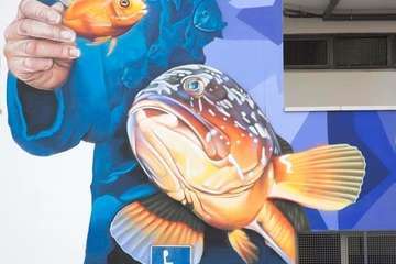 Matas 'sabotea' el exterior de la Gerencia de Jinámar (Foto TA)