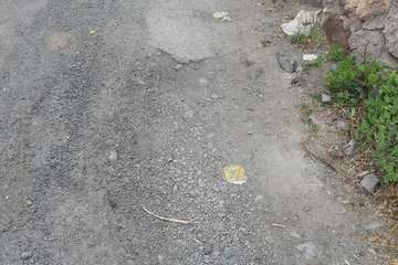 El Cubillo implora por la conexión a la red de saneamiento y el asfaltado de su acceso (Foto TA)