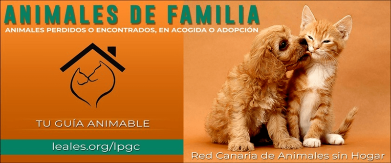Campaña de Leales.org de Animales de familia (Foto TA)