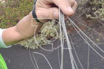 Cables anticiclistas en Rosiana (Foto TA)