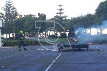 Entierro de la Sardina (Foto TA)