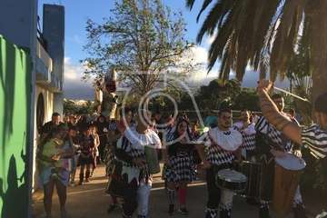 Entierro de la Sardina (Foto TA)