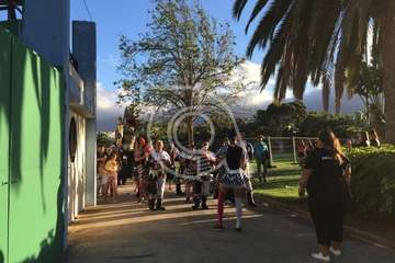 Entierro de la Sardina (Foto TA)