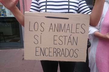 Protesta en Telde contra el sacrificio de animales para consumo (Foto Claudio Sánchez)