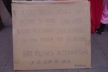 Protesta en Telde contra el sacrificio de animales para consumo (Foto Claudio Sánchez)