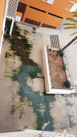 Vista del río de aguas verdes (Foto TA)