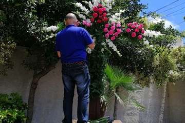 Enramado de la Cruz en Lomo Blanco y La Montañeta de El Calero (Foto TA)