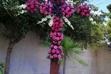 Enramado de la Cruz en Lomo Blanco y La Montañeta de El Calero (Foto TA)