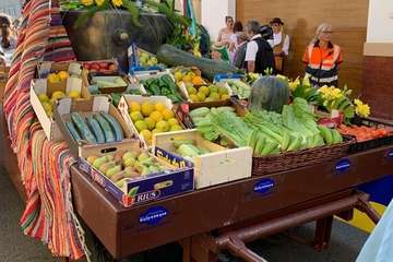 Animada romería en El Calero de Telde (Foto TA)