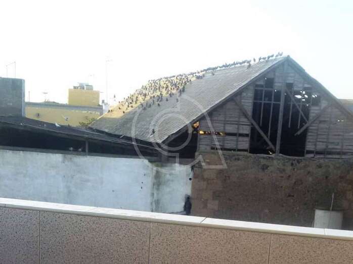 Cubierta del histórico palomar llenas de aves (Foto TA)