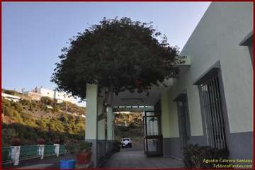 Victoriano Sánchez pone en fiestas al pago de La Gavia (fOTO tf)