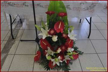 Victoriano Sánchez pone en fiestas al pago de La Gavia (fOTO tf)