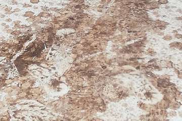 Quejas por la mala praxis de un sepultero del cementerio de San Juan (Foto TA)