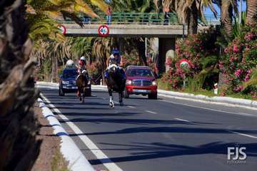 Foto Francisco J. Santana