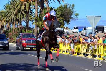 Foto Francisco J. Santana