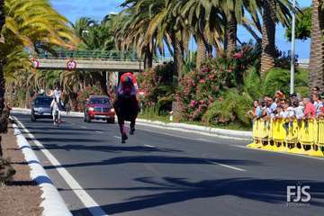 Foto Francisco J. Santana