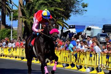 Foto Francisco J. Santana