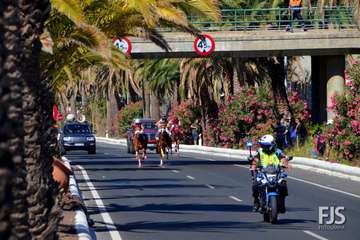 Foto Francisco J. Santana