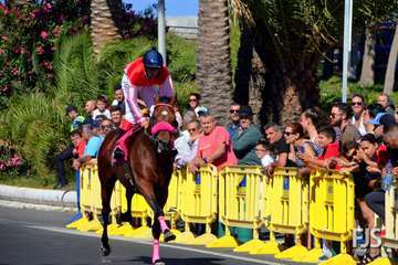 Foto Francisco J. Santana