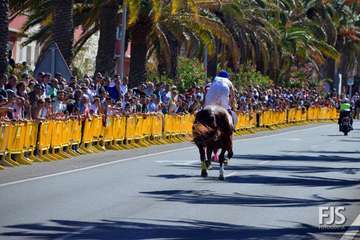 Foto Francisco J. Santana