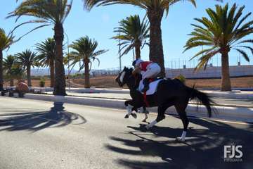 Foto Francisco J. Santana