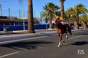 Foto Francisco J. Santana