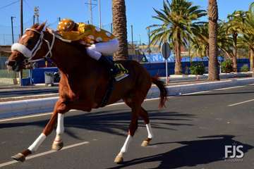 Foto Francisco J. Santana