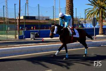 Foto Francisco J. Santana