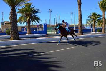 Foto Francisco J. Santana