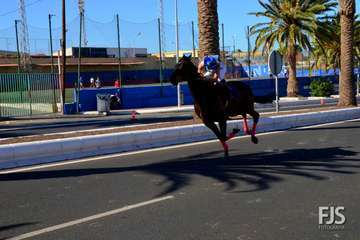 Foto Francisco J. Santana