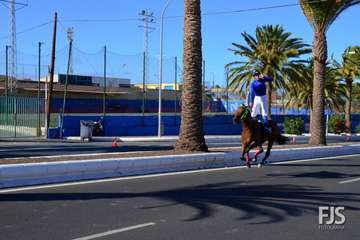 Foto Francisco J. Santana