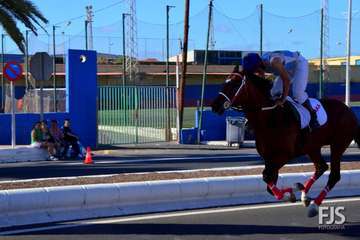 Foto Francisco J. Santana