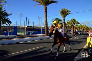 Foto Francisco J. Santana