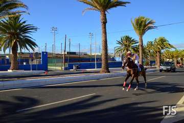 Foto Francisco J. Santana