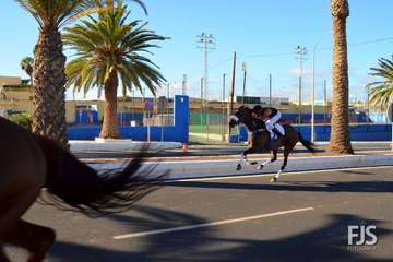 Foto Francisco J. Santana