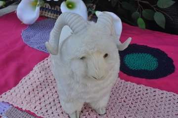 Pregón de las fiestas de El Goro 2019 y encuentro intercultural de folclore (Foto TA y TF)