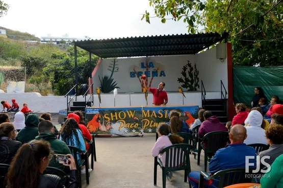 El espectáculo de aves exóticas de Paco Plumas se exhibe en La Breña (Foto FJS)
