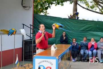 El espectáculo de aves exóticas de Paco Plumas se exhibe en La Breña (Foto FJS)