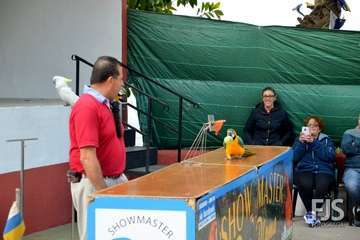El espectáculo de aves exóticas de Paco Plumas se exhibe en La Breña (Foto FJS)