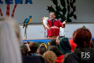 El espectáculo de aves exóticas de Paco Plumas se exhibe en La Breña (Foto FJS)