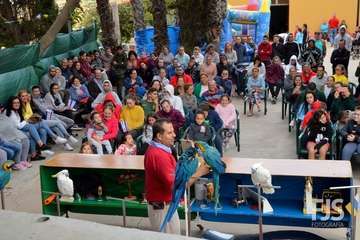 El espectáculo de aves exóticas de Paco Plumas se exhibe en La Breña (Foto FJS)