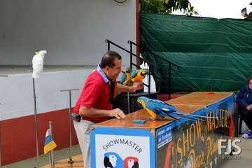 El espectáculo de aves exóticas de Paco Plumas se exhibe en La Breña (Foto FJS)