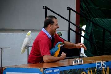 El espectáculo de aves exóticas de Paco Plumas se exhibe en La Breña (Foto FJS)