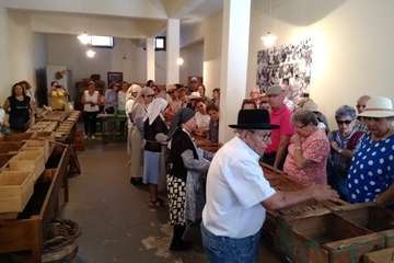 La AV Cristo de Telde visita los museos etnográficos de La Aldea de San Nicolás (Foto TA)