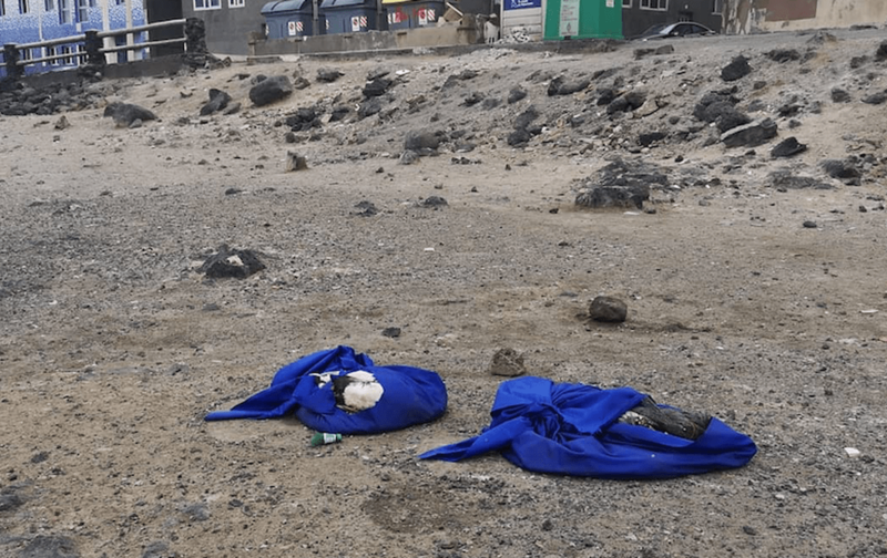 Los cadáveres aparecieron envueltos en unas telas (Foto TA)