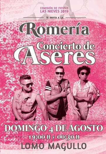 Cartel del concierto de Aseres (Foto TA)