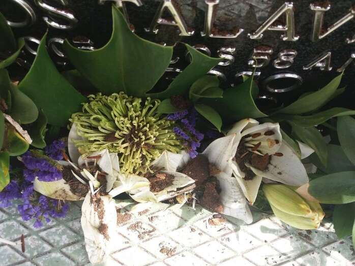 Estado del nicho de los padres de la denunciante (Foto TA)