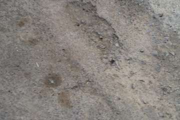 Eloy Santana toma nota de las necesidades de El Ejido (Foto TA)