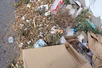 La suciedad y falta de cuidados imperan en El Calero Bajo (Foto TA)